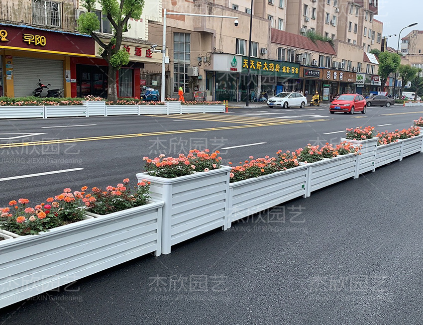 杰欣园艺参与海宁城市道路绿化提升工程